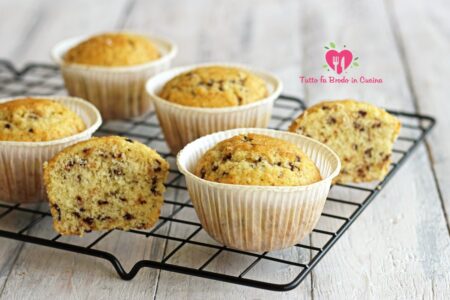 MUFFIN AL COCCO E CIOCCOLATO SENZA LATTOSIO